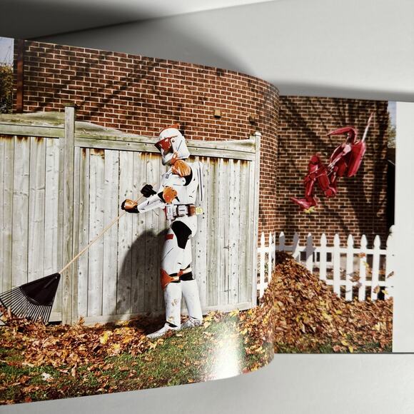 Figure Fantasy The Pop Culture Photography of Daniel Picard Hardcover Book - Picture 9 of 11